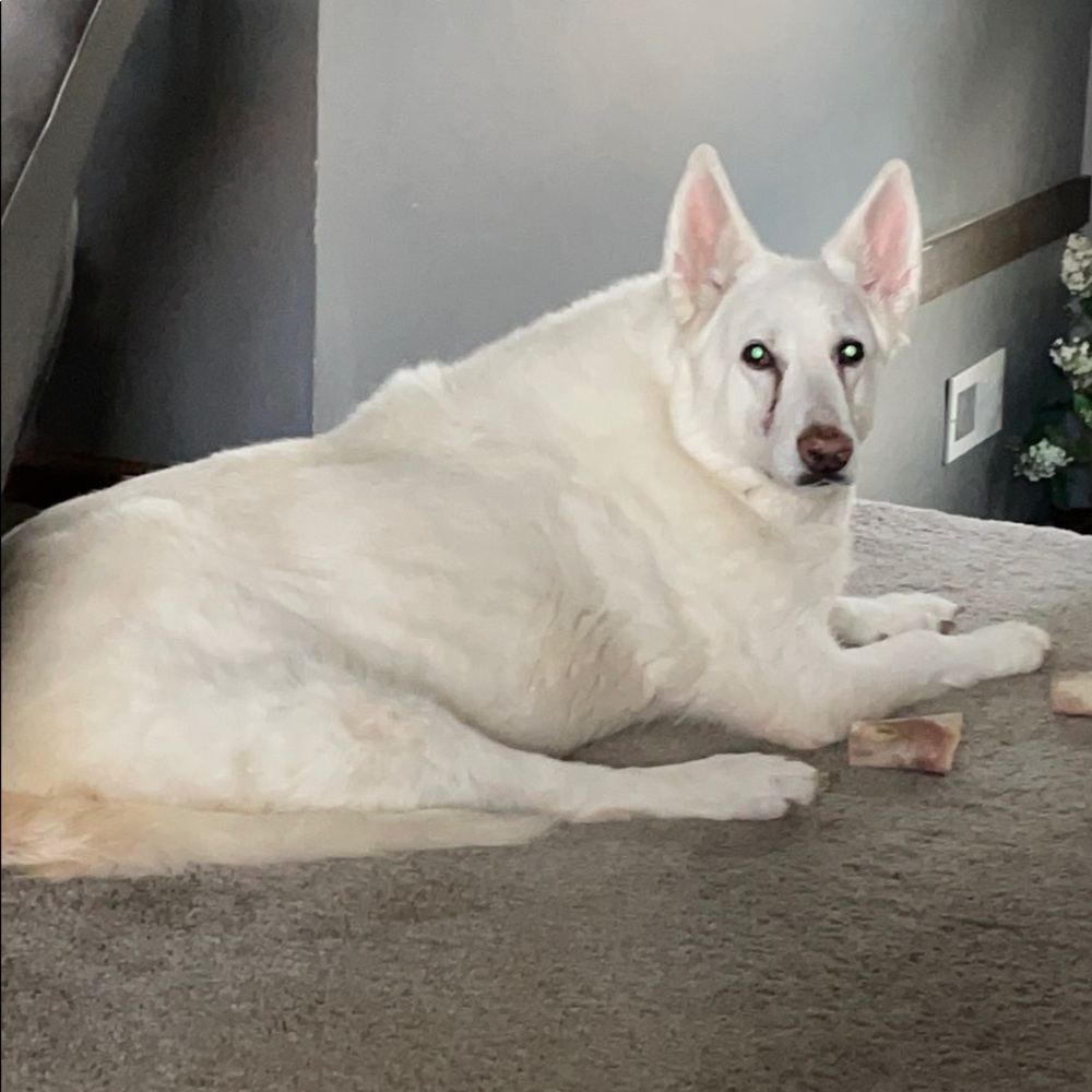 Meet your Posher, Sue